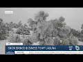 Snow brings business to Mt Laguna