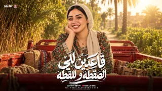قاعدين للي الصقطه و للقطه   قادر في الكتره ومبخافش   ايه شعبان   محمد حمدي   ترند شعبي حظ      دندنها