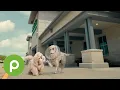 Publix rotisserie chickens are worth fighting over