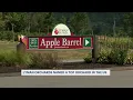Connecticut apple orchard named top 10 across US according to Yelp