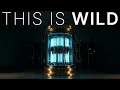 Nothing Stops Quantum Computers and Nobody Knows Why