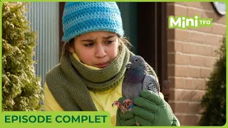 DINO DANA | EPISODE 6  | SAISON 4 | EN FRANCAIS