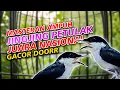 Download Lagu MASTERAN PETULAK JINGJING GACOR DOR PANJANG SUARA KRISTAL