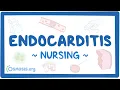 Download Lagu Endocarditis: Clinical Nursing Care