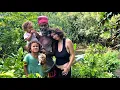 Living offgrid in Portland Jamaica 🇯🇲