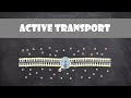 Active Transport Cell Biology