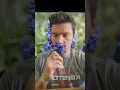 Download Lagu grape hyacinth? Flower lemonade? #homestead