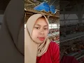 Download Lagu Sungguh hanya dirimu yng ku damba selaluu#SENINYA JAWA TENGAH