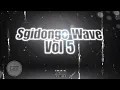 Download Lagu SGIDONGO WAVE VOL.5 | MAY 2025 | PRODUCTION MIX | Dj Micsir ●
