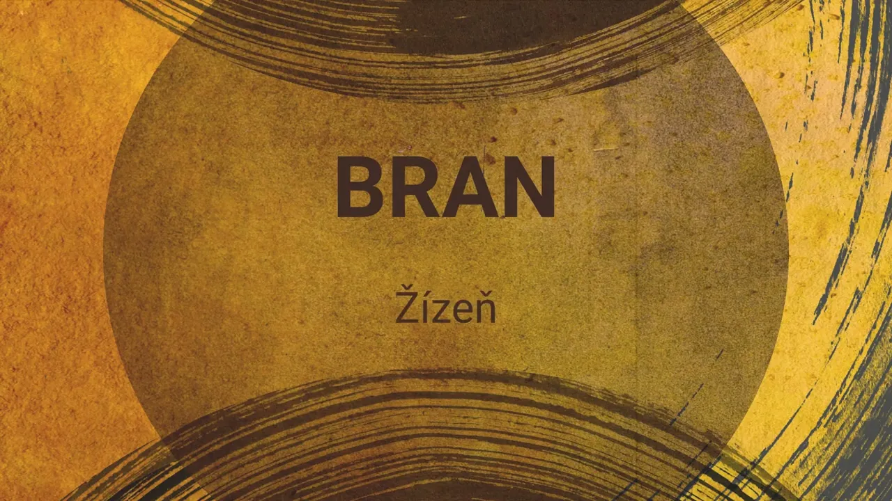 Bran – Žízeň (lyric video)