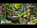 Download Lagu Soothing Music and Nature Sounds 🍃 Sleep Music for Deep Sleeping, Stress Relief and Calm Anxiety