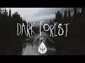 Download Lagu Dark Forest 🦇 - An Indie/Folk/Alternative Playlist | Vol. 2 (Halloween 2018)