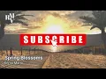 Spring Blossoms - Ennio Mano (Jazz Music) With Videos 4K