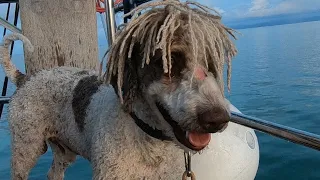 Ep. 308 I find a friend in paradise – Alone and living on a boat in the Caribbean’s San Blas