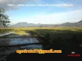 Download Lagu Doel sumbang - Berenyit