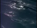 Float Chesapeake Massage Therapy