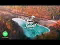 Sam Feldt x Kate Ryan - Gold (Tobtok Remix)