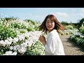 レコード大賞受賞曲：シクラメンのかほり/布施明Cyclamen no Kahori” 【日本の童謡、唱歌＆歌謡】 #花 #癒し #哀愁 #音楽 #music