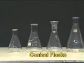 3 Conical flask - Chemical lab apparatus