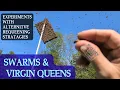 Lagu Experiments with alternative virgin queen introduction techniques. Successes and failures 