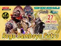 Download Lagu Live Rogo Samboyo Putro Wonoagung Kasembon Malang Ft L-Sha Audio