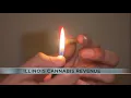Illinois Cannabis revenue on the rise