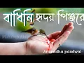 Lagu Badhini hridoy pinjore | বাধিনি হৃদয় পিন্জরে | Anuradha paudwal