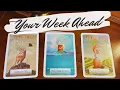 The Next 7 Days! 📬 Your detailed week ahead pick a card 