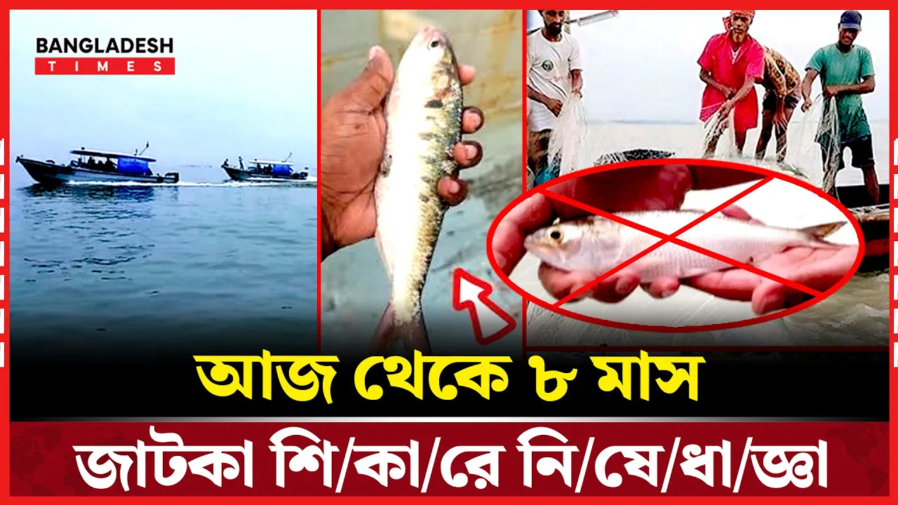 ইলিশের ভবিষ্যৎ বাঁচাতে এবার দীর্ঘ ৮ মাসের নিষেধাজ্ঞা