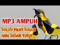 Download Lagu Suara pikat sogon ampuh solusi sogon yang susah turun
