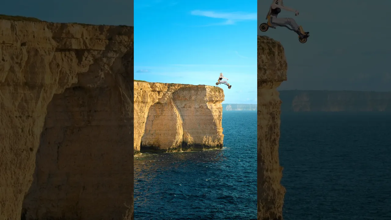 空飛ぶ車はあったんだ…‼︎ #虎のいる生活