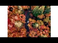 Forest Swords - Crow (2018 Music)