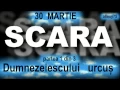 Download Lagu Scara .1 din 3.  Sfantul Ioan Scararul 30 martie