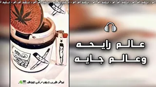اغاني صمخه مصريه 2020 كنت فاكرهم والله ملايكه عالم رايحه وعالم جايه استكنان  اغاني صمخه مصريه 2020 كنت فاكرهم والله ملايكه عالم رايحه وعالم جايه استكنان