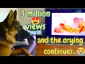 dog emotional reaction to Lion King scene (must watch, don't cry)