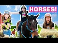 Download Lagu A Day in the Life of a Horse Owner! (Horses for Kids)