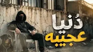 دنيا عجيبه                                                 العيشه احلا وسط كلاب دندنها