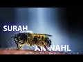 Download Lagu SURAH AN-NAHL | ABDULLAH HUMEID QURAN RECITATION سورة النحل