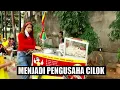 Download Lagu PENGUSAHA CILOK | BERANI COBA (08/03/22)