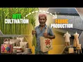 Download Lagu Jute Cultivation To Manufacturing Process Step By Step Explanation