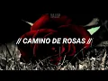 Camino de rosas- Alejandro Sanz (Letra)
