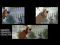 Download Lagu Lady and the Tramp VHS \u0026 DVD Comparison