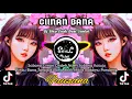 Dj Ciinan Bana - Fauzana 🔴 Dj Slow Enak Buat Santai 🔴 Malu Malu, Malu Denai Tamalu || Dj Lagu Minang