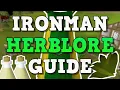 OSRS Herblore Guide For Ironmen XP Rates OSRS - Ironman Herblore Secondaries Guide
