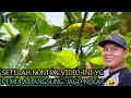 Download Lagu cara mikat burung sirtu susah turun [] khusus pemula