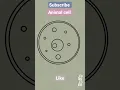 Drawing animal cell structure labelling technique