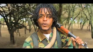 Wallee Jaal Jigsaa Diinaa Walitti Labsi 