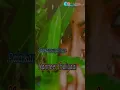 Download Lagu Ninaithadhu ellam nadukira vazhkai yaruku kidaikirathu.
