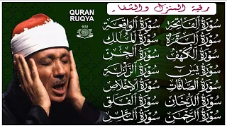 الفاتحة البقرة الكهف يس الواقعة الرحمن الملك الصافات الدخان الجن زلزلة الاخلاص عبد الباسط عبد الصمد