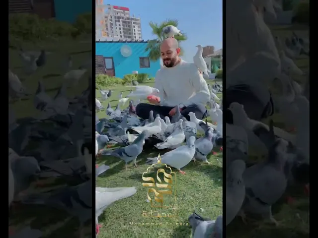⁣محمد بوجبارة | سر الحياة
